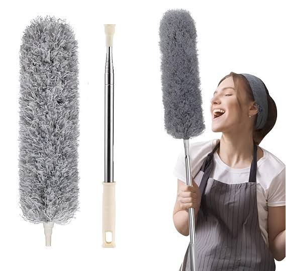 Grey Feather Duster
